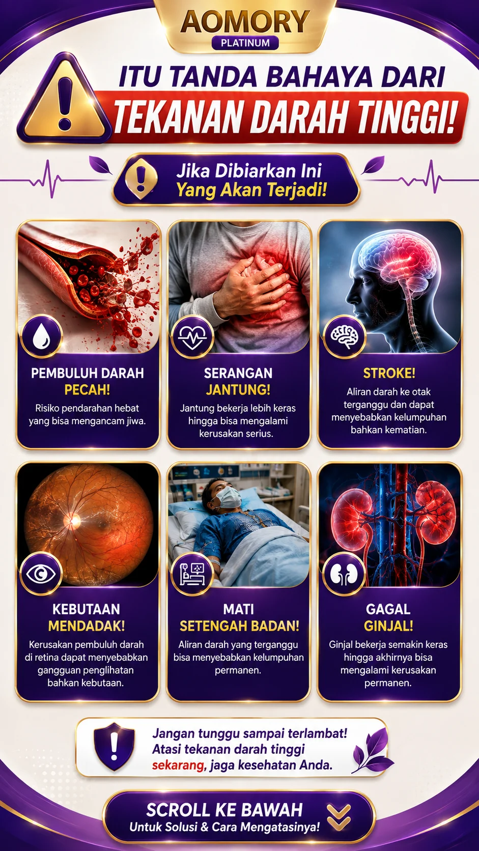 AOMORY - HERBAL ATASI DARAH TINGGI
